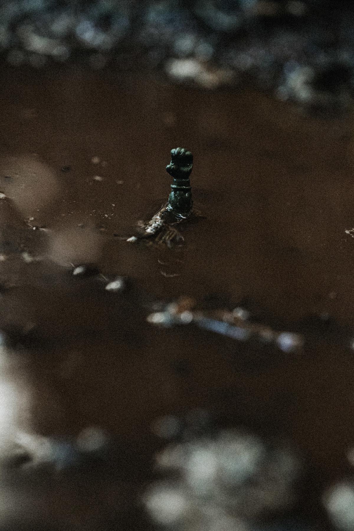 Fotografia de Trabalho Autoral por André Bertogna — Olhos que enchem de água, foto 10 de 12