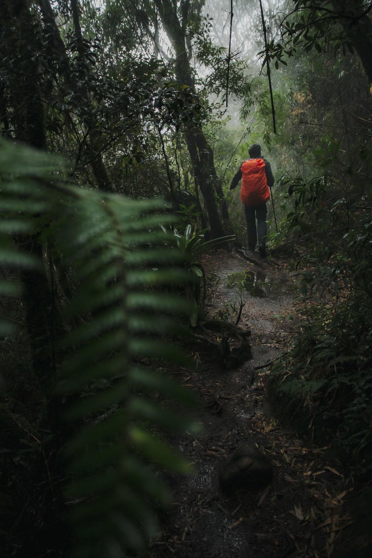 Fotografia de Esporte por André Bertogna — Escalada ao Pico do Paraná, foto 4 de 12