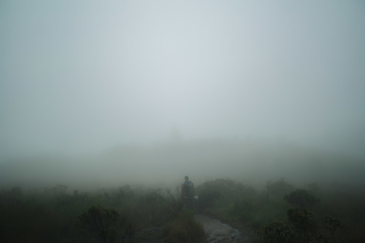Fotografia de Esporte por André Bertogna — Escalada ao Pico do Paraná, foto 6 de 12