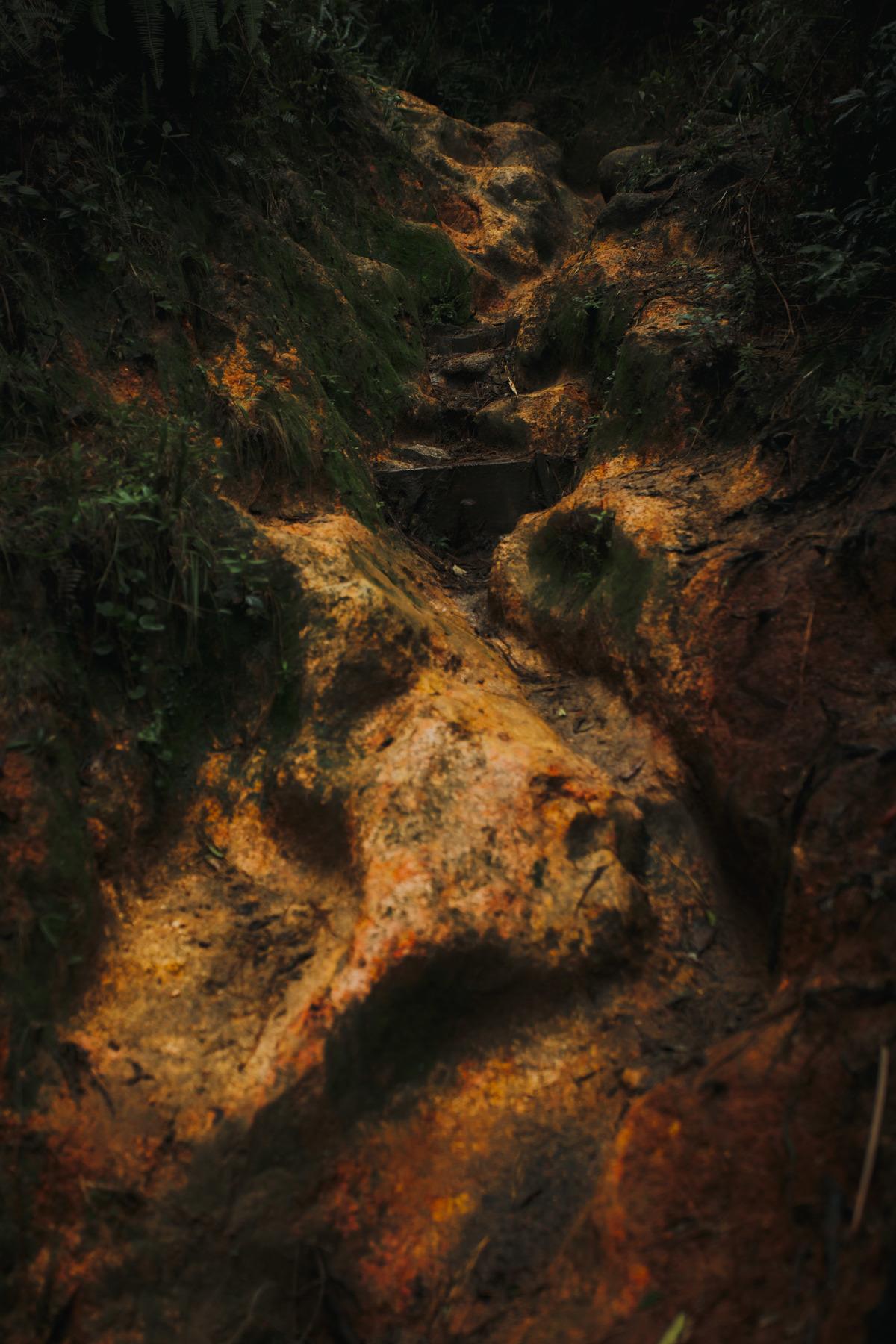 Fotografia de Esporte por André Bertogna — Escalada ao Pico do Paraná, foto 8 de 12
