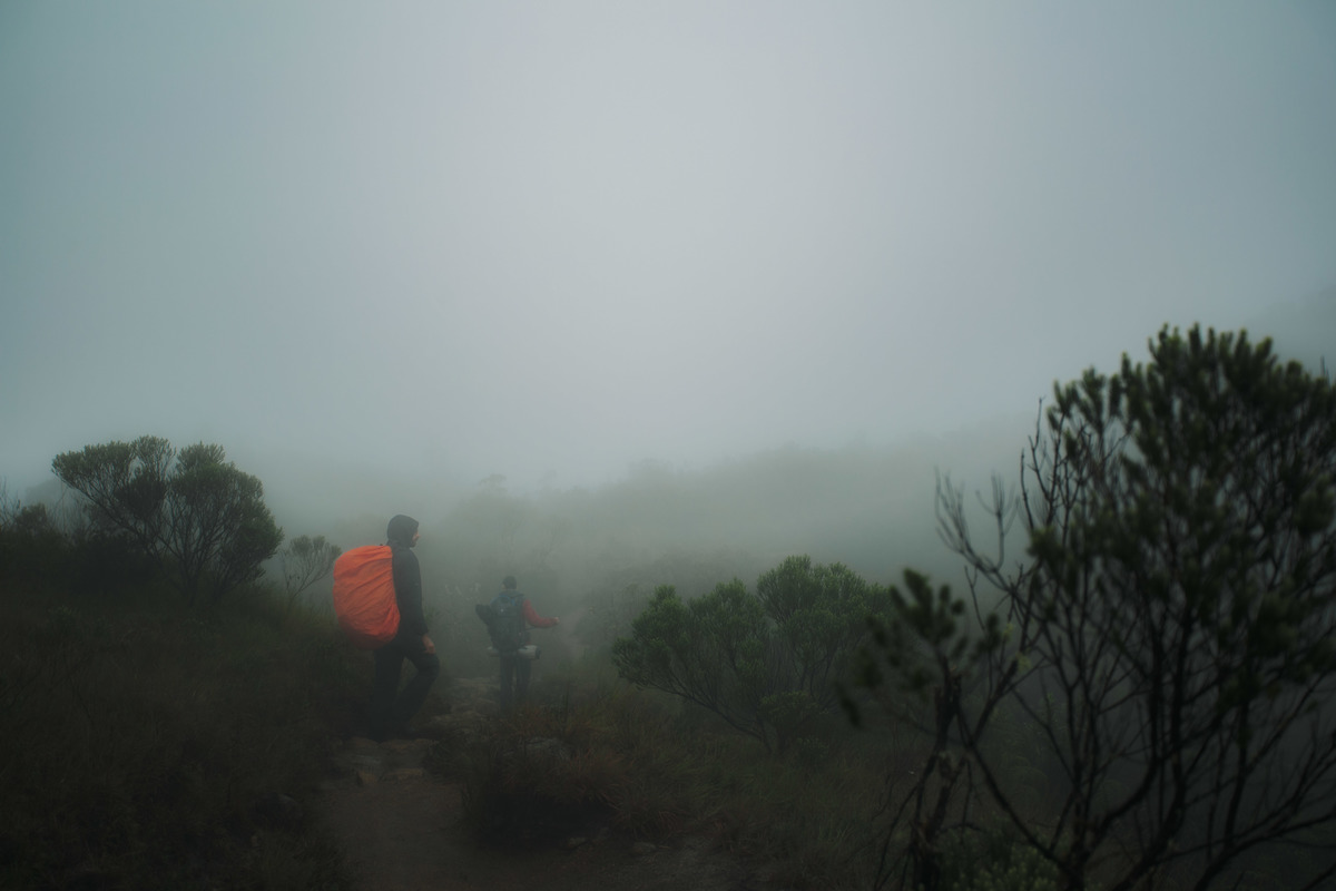 Fotografia de Esporte por André Bertogna — Escalada ao Pico do Paraná, foto 9 de 12