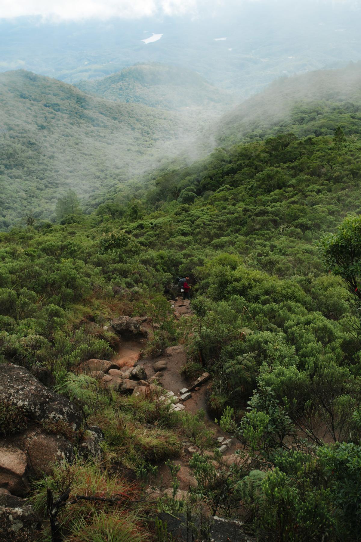 Fotografia de Esporte por André Bertogna — Escalada ao Pico do Paraná, foto 10 de 12