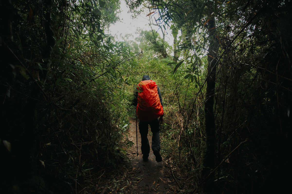 Fotografia de Esporte por André Bertogna — Escalada ao Pico do Paraná, foto 11 de 12